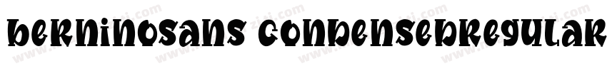 berninosans condensedregular字体转换